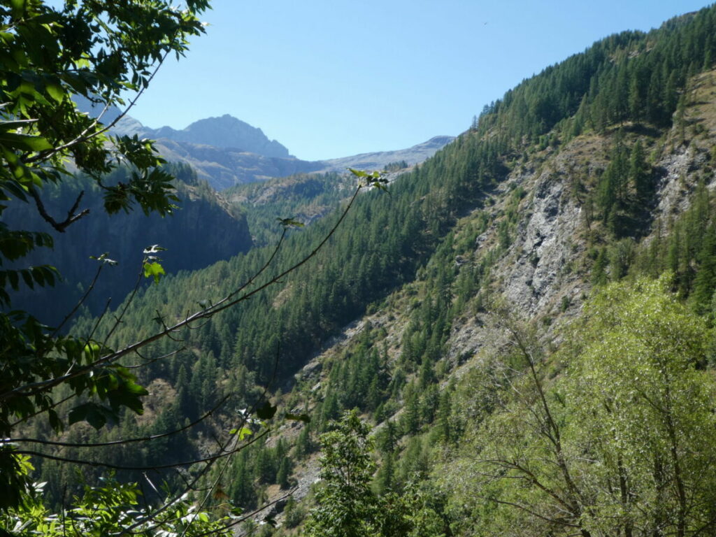 La montée vers les lacs de Dormillouse depuis le bas de la vallée