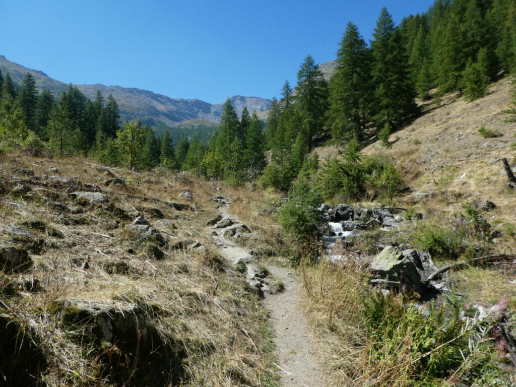 La montée de la combe Narreyroux