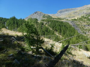 Le ruisseau des Lauzes tombant dans la combe Narreyroux