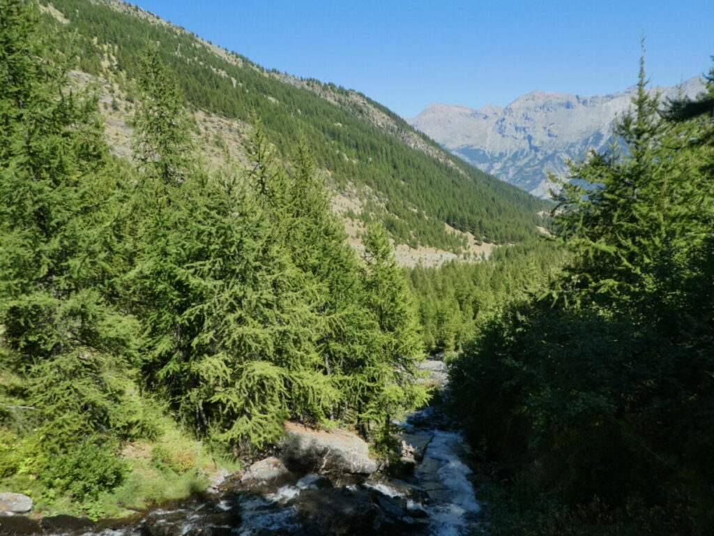 La combe Narreyroux vers l'aval