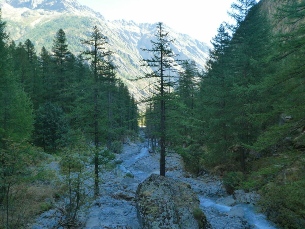 Le torrent de Celse Nière