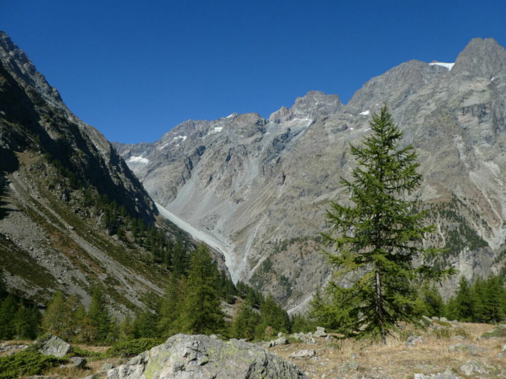 La vallée du Sélé avec les glaciers de Pelvoux