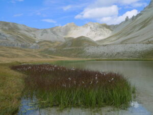 Magnifique lac Escur