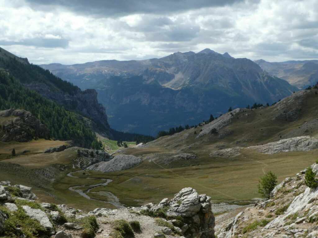 Les prairies d'altitude sous le lac de l'Ascension