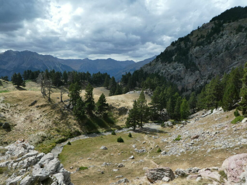 Le torrent de l'Ascension au niveau de la cabane de l'Alpavin