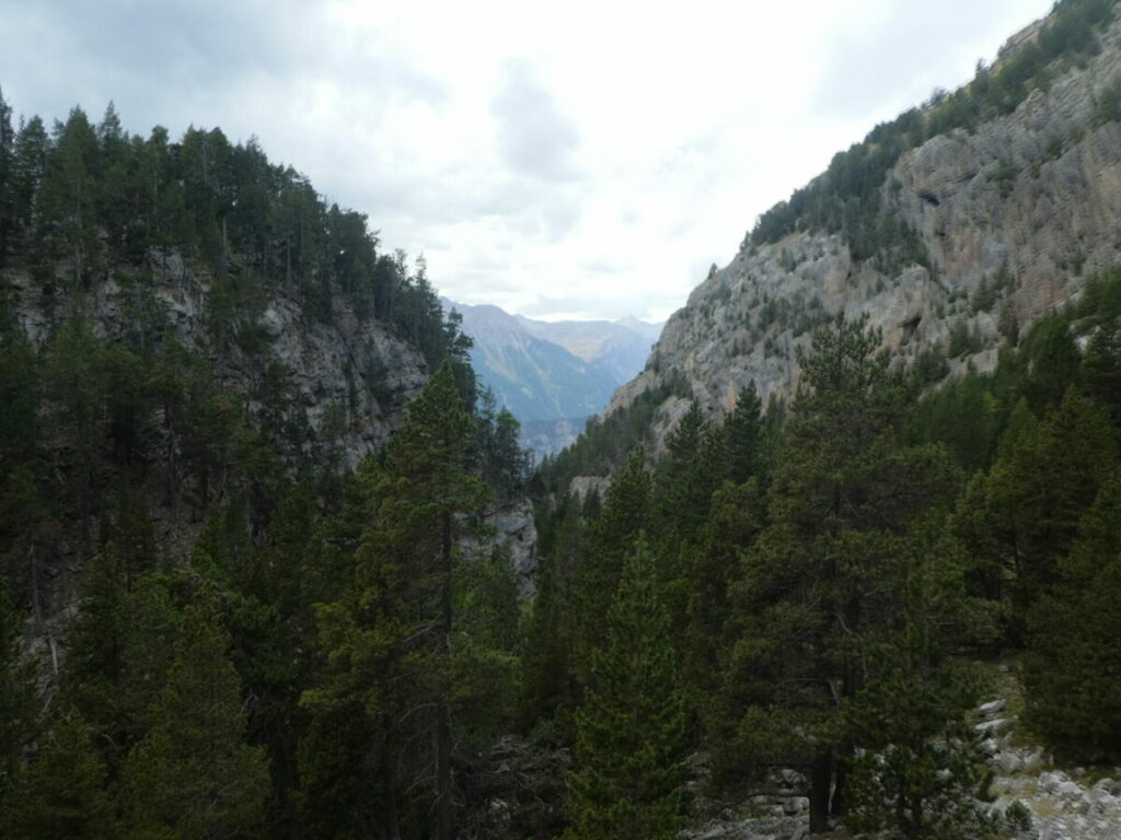 Les gorges du torrent de l'Ascension