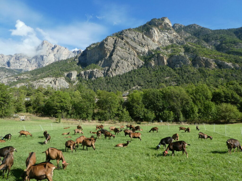 La paroi de la via ferrata aux Vigneaux