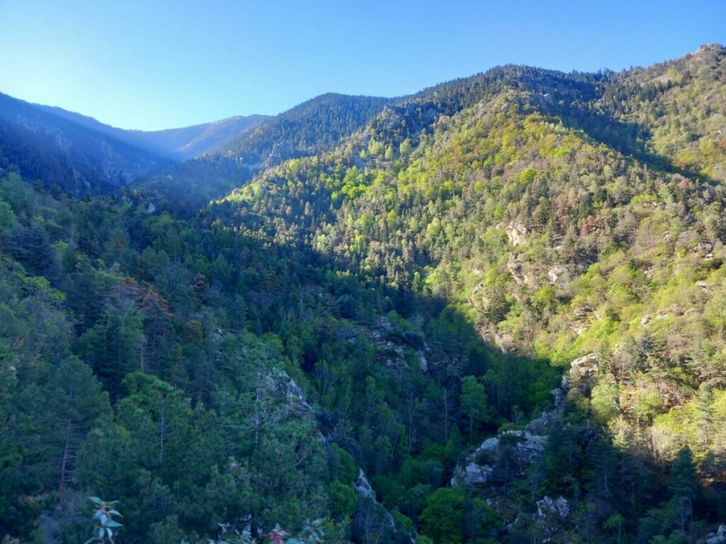 La vallée de la Ribeira de Fillols en montant vers les Voltes