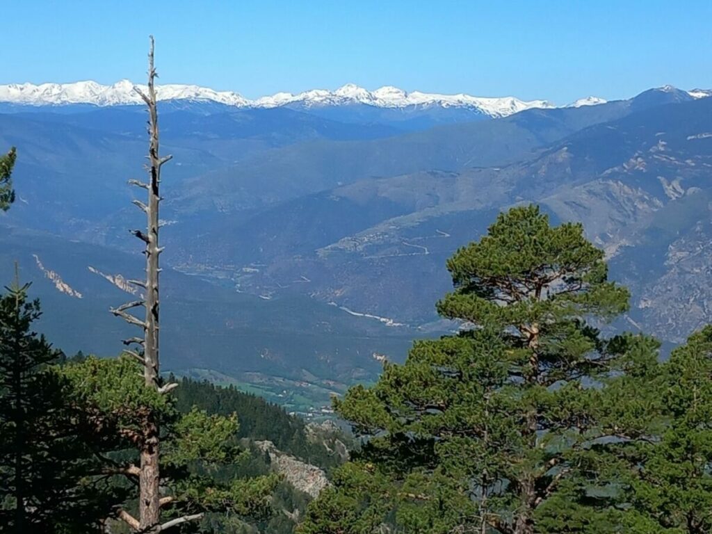 Depuis le col des Voltes, vue sur les sommets enneigés des Pyrénées (au centre Font-Romeu)