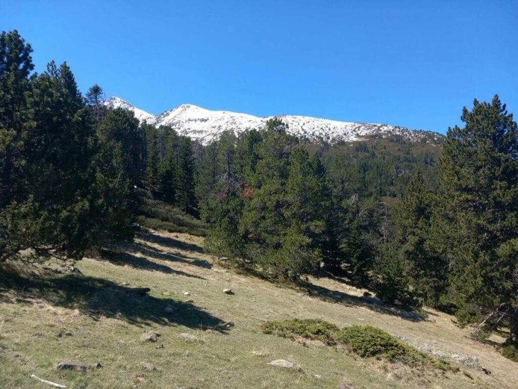 Premier aperçu des pics Joffre et du Canigou dans la montée vers les Cortalets