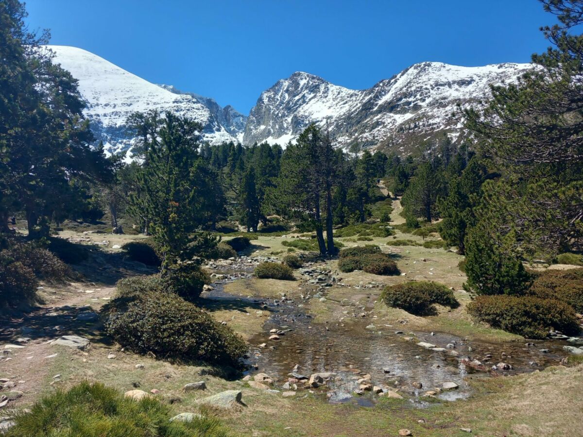 Ruisseau des lacs de l'Estanyol devant le pic du Canigou