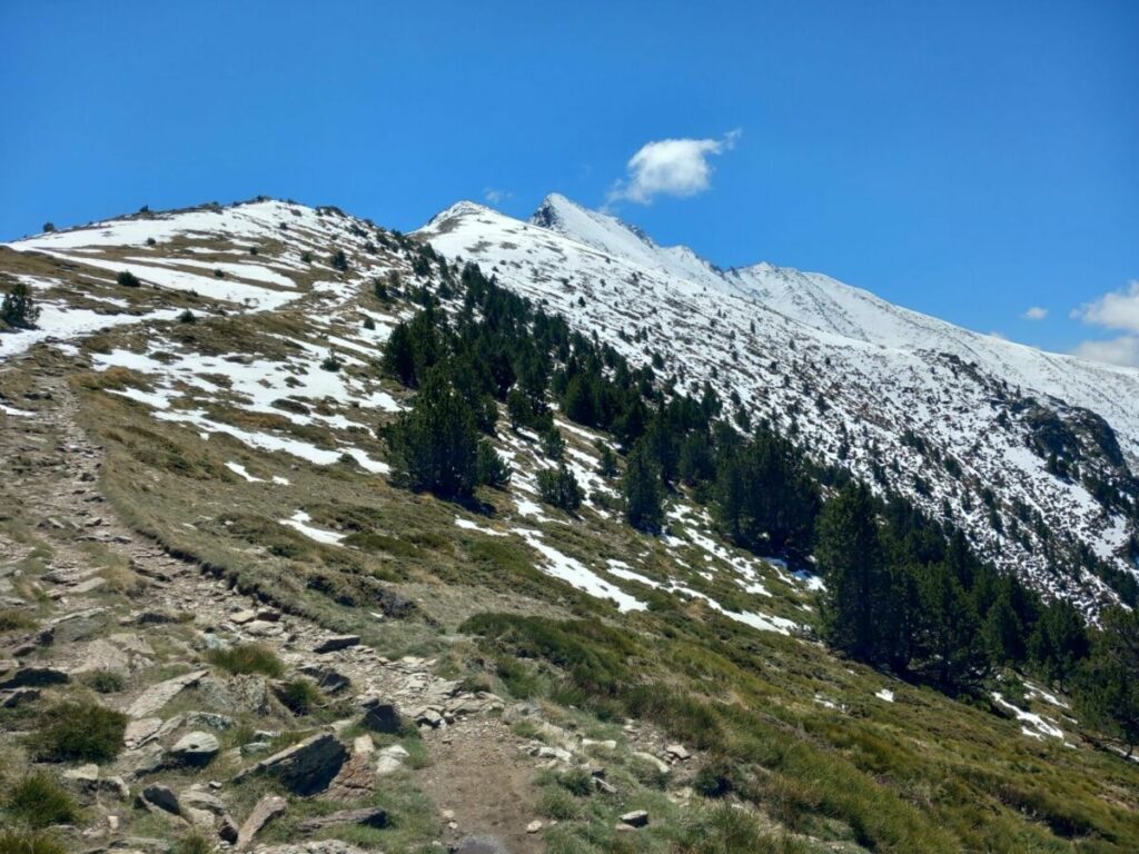 La crête nord du pic du Canigou vue depuis le pic Joffre