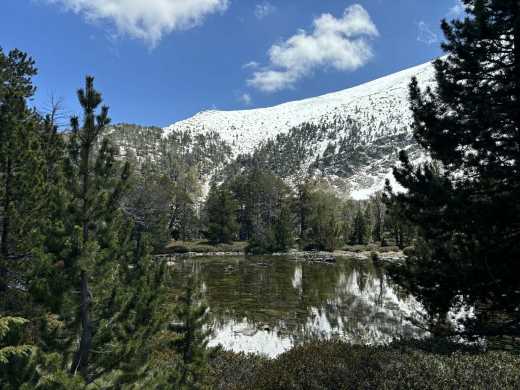 Un des lacs de l'Estanyol au milieu du cirque des Cortalets