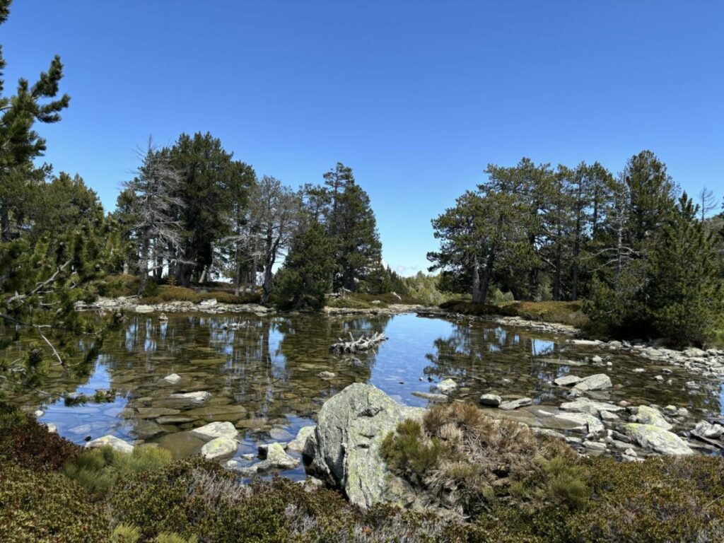 Un des lacs de l'Estanyol