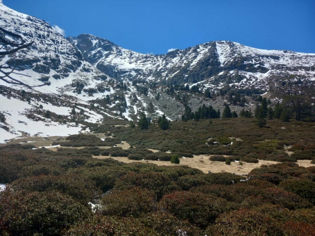 Le cirque des Cortalets avec le pic du Canigou au fond au milieu